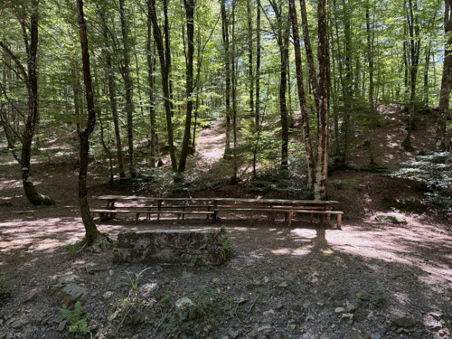 Tavolo 1 foto 1
