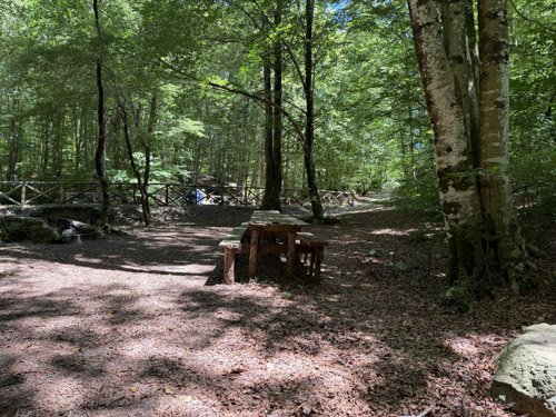 Tavolo 1 foto 4