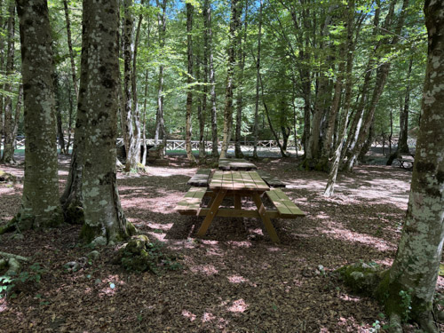 Tavolo 4 foto 3