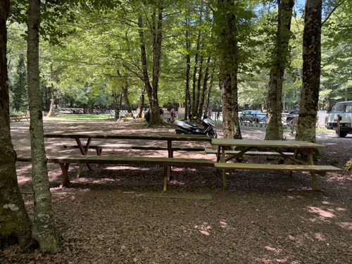 Tavolo 5 foto 2