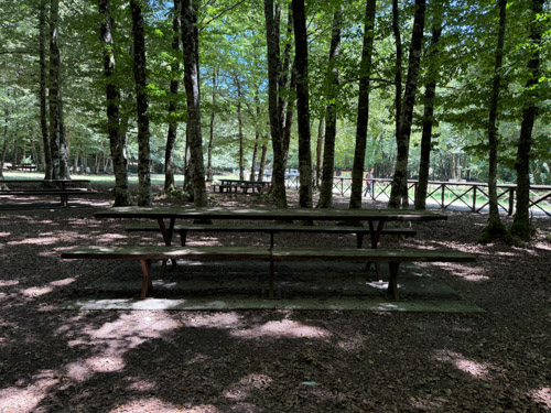 Tavolo 16 foto 2